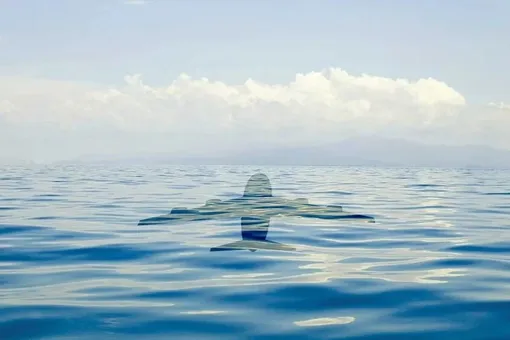 Топливо для самолетов будут делать из морской воды — и нет, это не водород