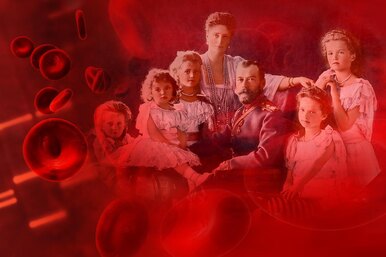 Анализ ДНК помог опознать останки Николая II и его семьи: что показала экспертиза