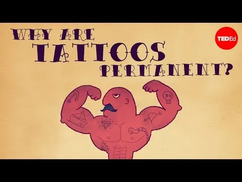 Нажми и смотри