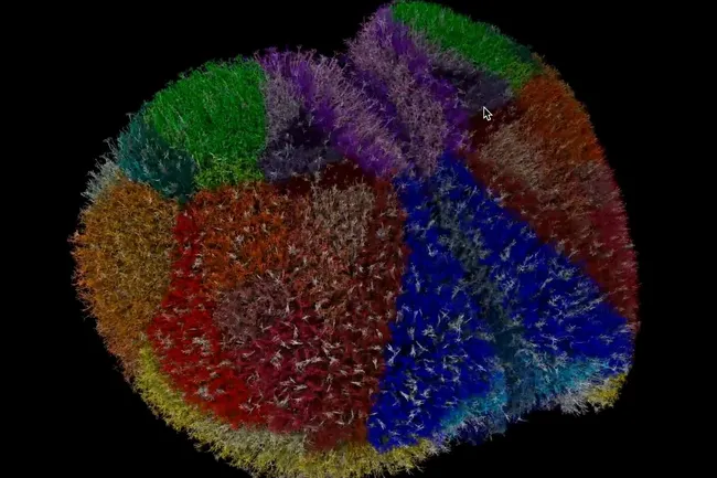 Суперкомпьютер симулировал работу 10 миллионов нейронов мыши
