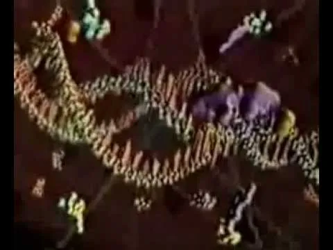 Нажми и смотри Нажми и смотри