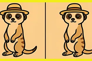 Сурикат в шляпке: попробуйте найти 3 отличия за 20 секунд Сурикат в шляпке: попробуйте найти 3 отличия за 20 секунд