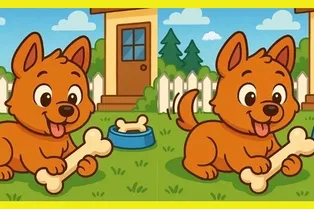 Щенок и косточка: сможете найти отличия между рисунками? Щенок и косточка: сможете найти отличия между рисунками?