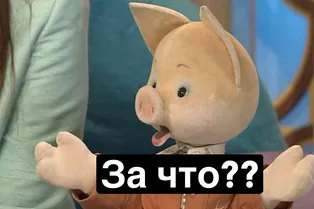 Мальчик живет в теле свиньи больше 50 лет: страшная тайна героев «Спокойной ночи, малыши!» Мальчик живет в теле свиньи больше 50 лет: страшная тайна героев «Спокойной ночи, малыши!»