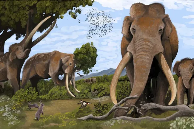 Ученые выяснили, откуда приходили слоны, на которых охотились неандертальцы в Европе