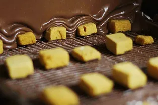 Все самые вкусные моменты в одном видео