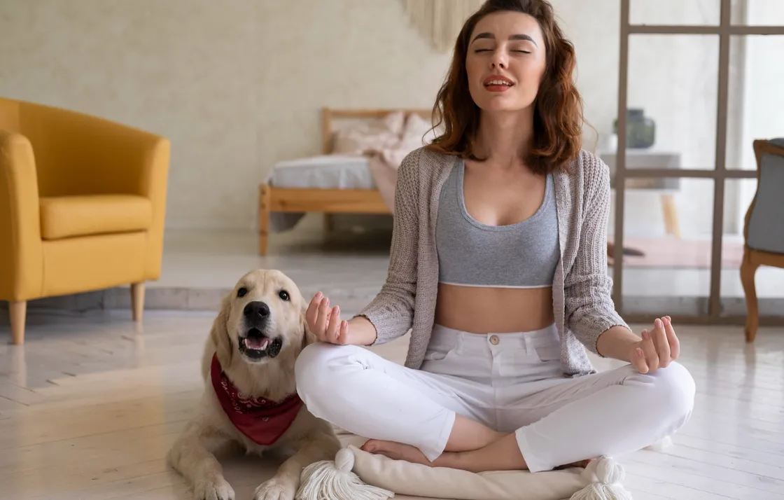 Trancing Meditation у собак: ваш питомец тоже умеет медитировать, и это можно объяснить Trancing Meditation у собак: ваш питомец тоже умеет медитировать, и это можно объяснить