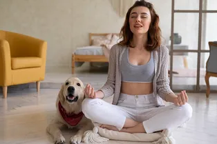 Trancing Meditation у собак: ваш питомец тоже умеет медитировать, и это можно объяснить