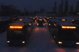 Московские автобусы хором «спели» песню Адель Московские автобусы хором «спели» песню Адель