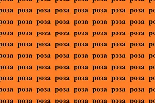 Проверка внимательности на 9 секунд: найдите слово «коза» Проверка внимательности на 9 секунд: найдите слово «коза»