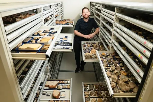 Мэтью МакКарри с коллекцией окаменелостей Австралийского музея. / Мэтью МакКарри с коллекцией окаменелостей Австралийского музея. /