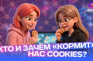 5 глупых вопросов про интернет 5 глупых вопросов про интернет