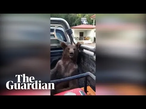 Нажми и смотри Нажми и смотри