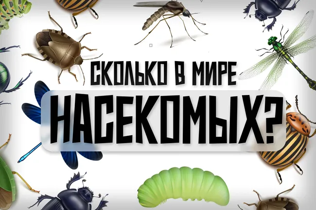 Задачка для биолога: сколько же на свете насекомых и как их сосчитать