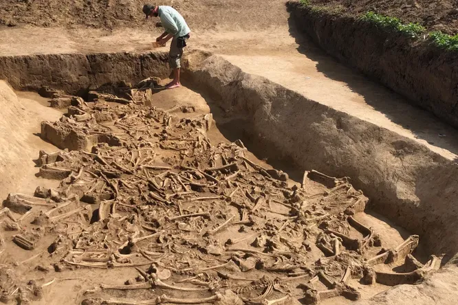 В Словакии обнаружены десятки обезглавленных тел, захороненных во рву в качестве человеческого жертвоприношения