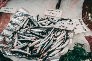 Замена красного мяса дешевой рыбой сохранит 750 000 жизней Замена красного мяса дешевой рыбой сохранит 750 000 жизней
