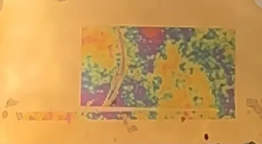 Материал меняет окраску, как осьминог.