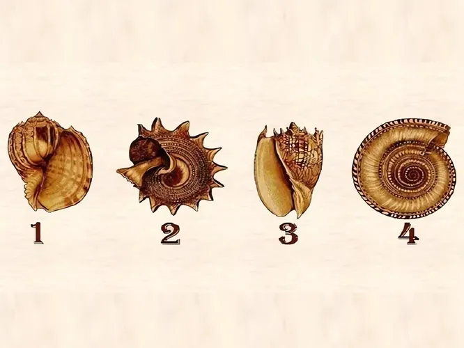 1, 2 , 3 или 4? 1, 2 , 3 или 4?