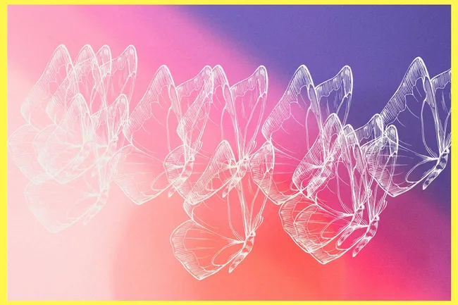 Это не удается почти никому: сосчитайте верное количество бабочек на картинке