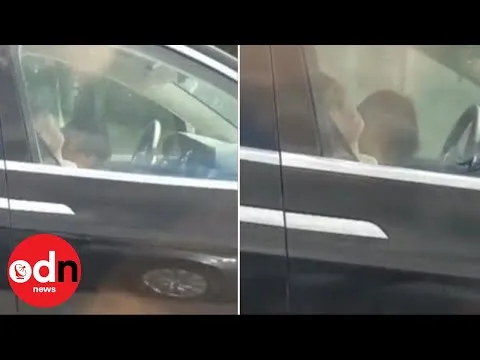 Нажми и смотри