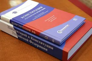Конституция досталась авторам «суверенного Рунета» Конституция досталась авторам «суверенного Рунета»