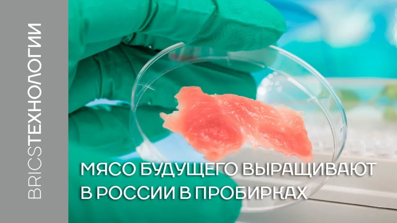 Нажми и смотри