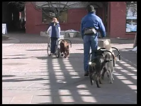 Нажми и смотри