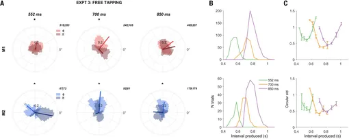 Макаки спонтанно синхронизируются с ритмом при отсутствии целевого интервала. Макаки спонтанно синхронизируются, график