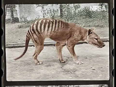 Нажми и смотри