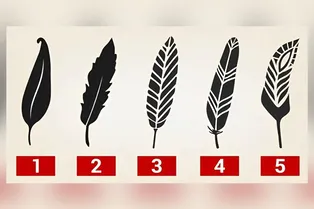 То, какое перо вы заметите первым, расскажет о вас больше психолога