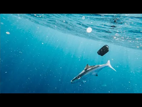 Нажми и смотри