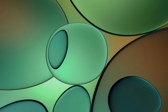 От младенцев-неандертальцев до выносливых грибов: главные новости сегодня