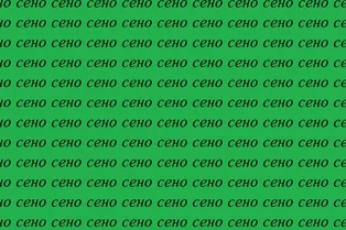 Найдите «село»: проверка внимательности на 8 секунд Найдите «село»: проверка внимательности на 8 секунд