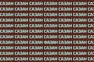 Тренировка зрительного восприятия: найдите слово «фазан» за 5 секунд Тренировка зрительного восприятия: найдите слово «фазан» за 5 секунд