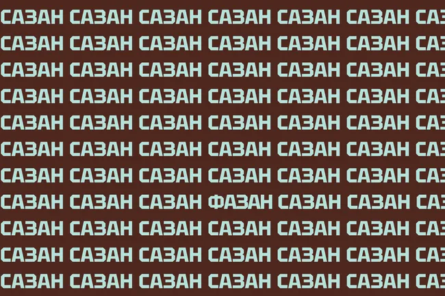 Тренировка зрительного восприятия: найдите слово «фазан» за 5 секунд