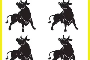 Найдите уникального быка: картинка-головоломка на 7 секунд Найдите уникального быка: картинка-головоломка на 7 секунд