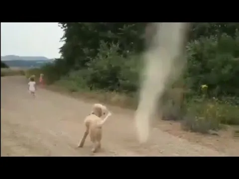 Нажми и смотри