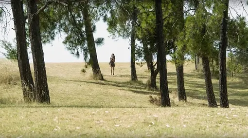 Более широкий снимок с длиннофокусным объективом. /