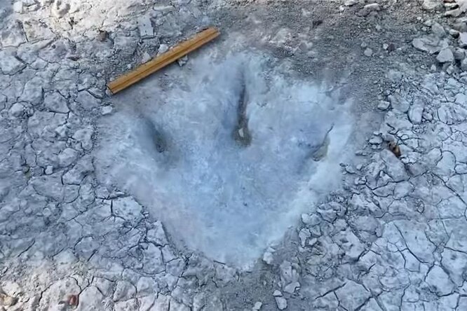 Не только корабли и человеческие останки: сильная засуха в Техасе обнажила следы динозавров