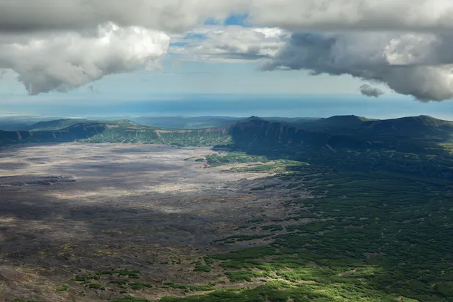 В России есть своя Долина смерти: почему на небольшой территории на Камчатке погибают животные