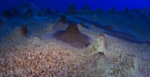 Донные образования. Озеро Унтер-Зее.