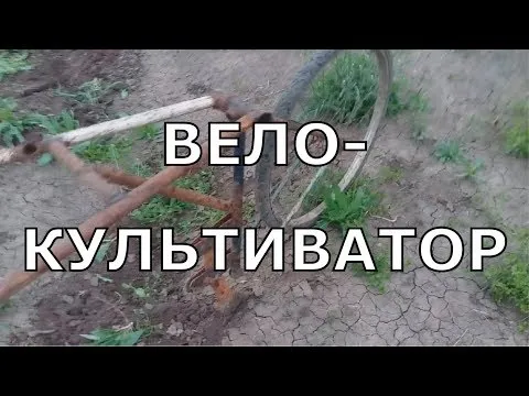 Нажми и смотри
