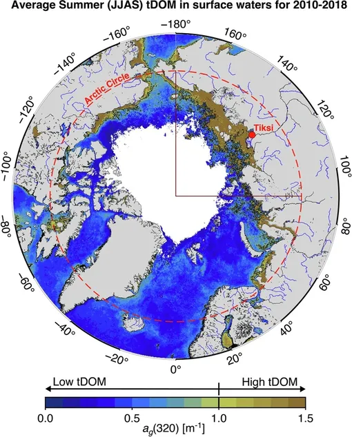 Распределение растворенного органического вещества (tDOM) в поверхностных слоях Северного Ледовитого океана. Белая область в центре обозначает площадь морского льда. Карта представляет собой среднее значение за июнь, июль, август и сентябрь с 2010 по 2018 год.