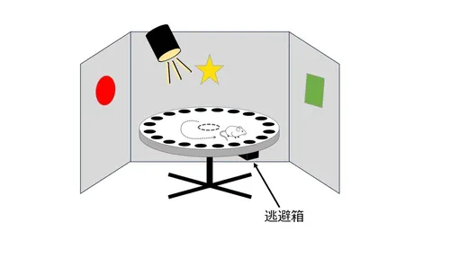 Лабиринт Барнса Лабиринт Барнса