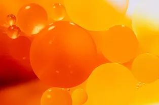 Как убрать висцеральный жир: неожиданное открытие вместо решения проблемы вызвало еще больше вопросов