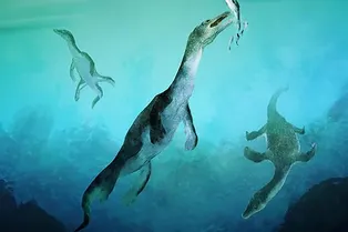 Морские вулканы вызвали массовые вымирания 250-200 миллионов лет назад