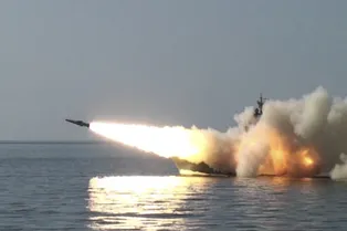 Минобороны выпустило «Москиты» в Японское море Минобороны выпустило «Москиты» в Японское море