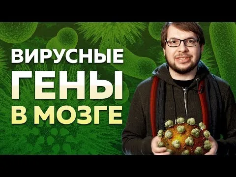 Нажми и смотри
