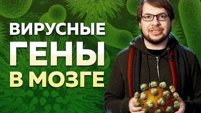 Нажми и смотри