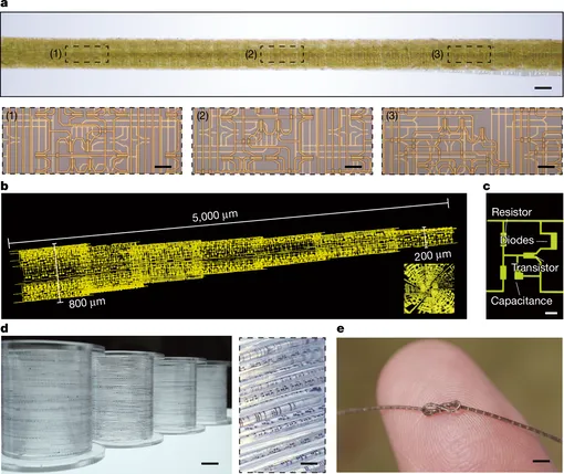 гибкий микропроцессор